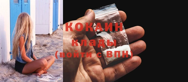 индика Михайлов