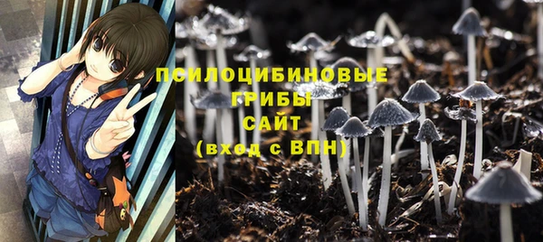 прущие крисы Михайловск