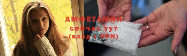 индика Михайлов