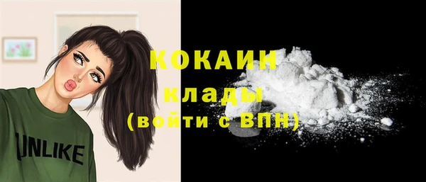 индика Михайлов
