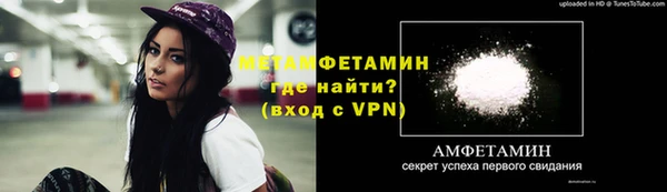 индика Михайлов