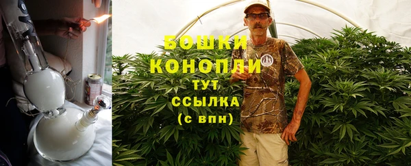 твердый Мегион