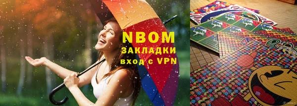 индика Михайлов