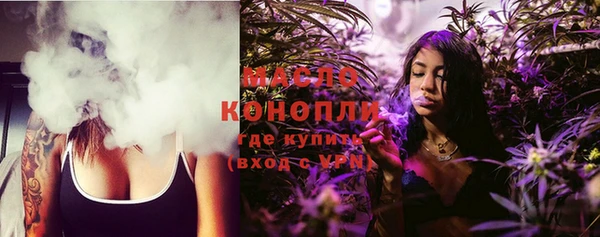 индика Михайлов